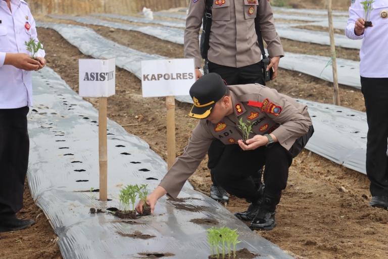 Dukung Pengendalian Inflasi, Kapolres Humbahas Hadiri Gerakan Tanam Cabai Merah Serentak